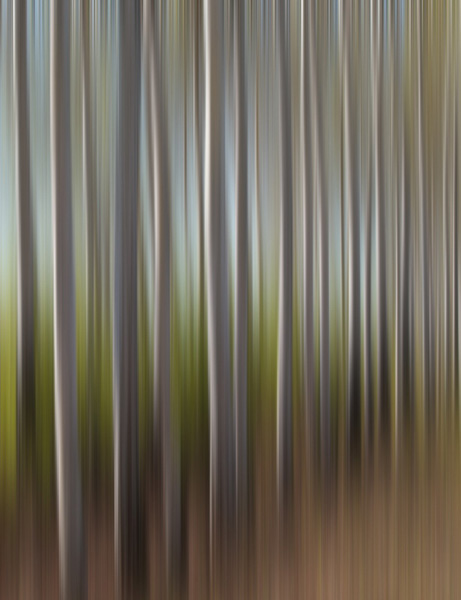 BS_017