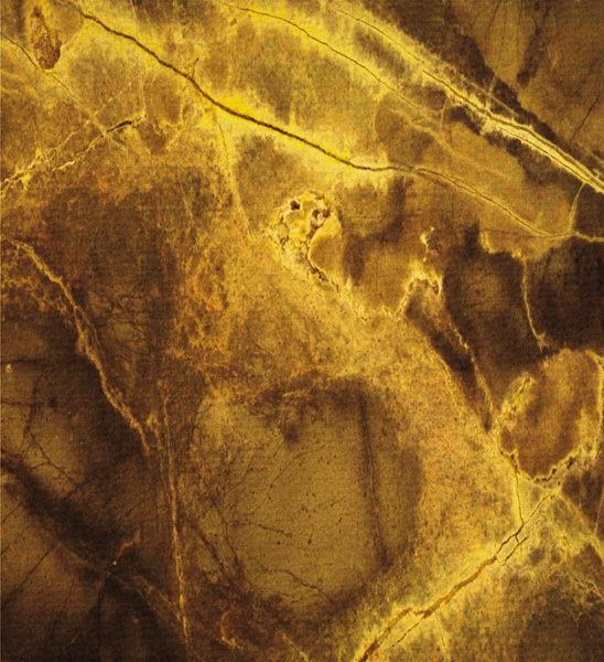 C-005