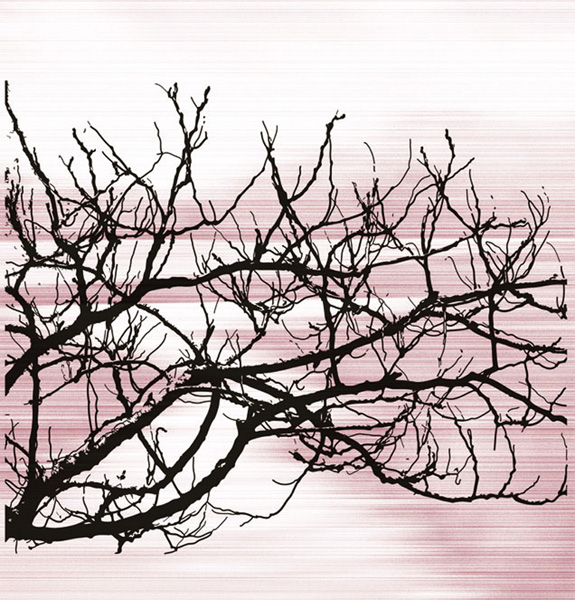 Z-INDEX-A-008-a
