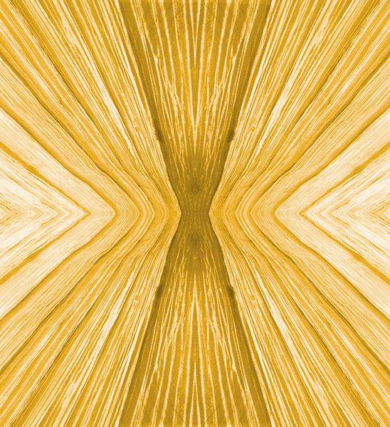 Z-INDEX-C-007-f