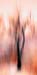 Z-INDEX-B-006-b