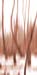 Z-INDEX-B-021-g