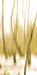 Z-INDEX-B-021-h