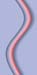 Z-INDEX-D-003-g